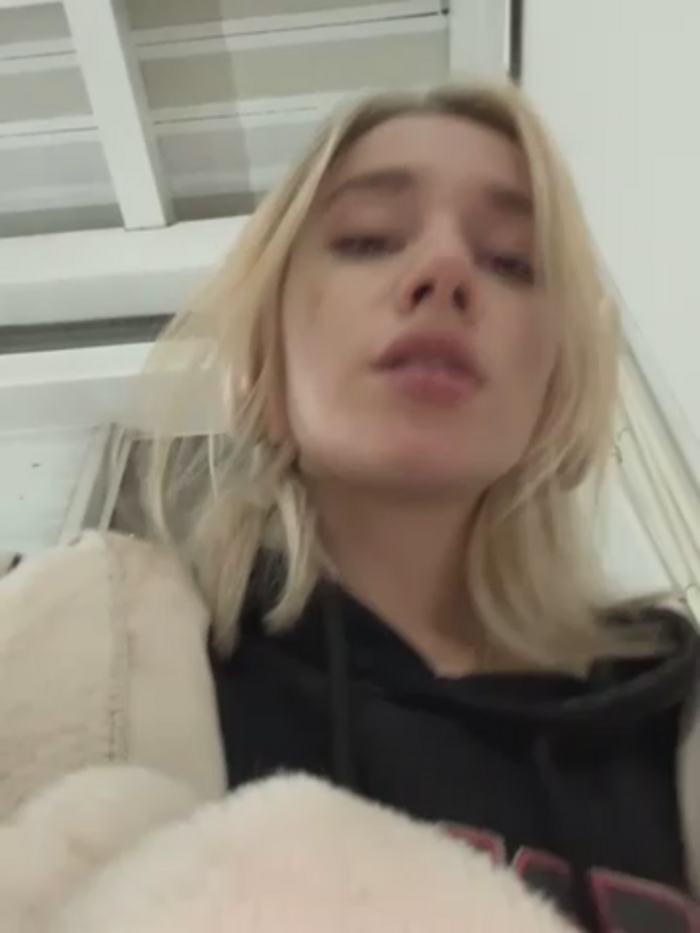 SSSATIVA_model