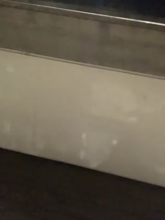 MaxxxSteil