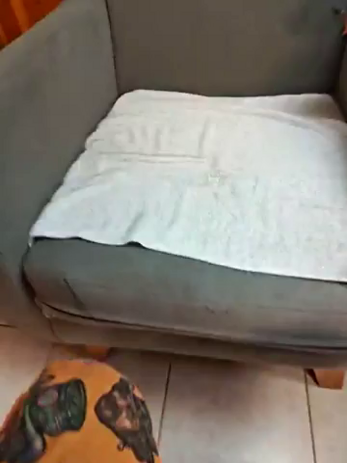 Elnonoykeila77