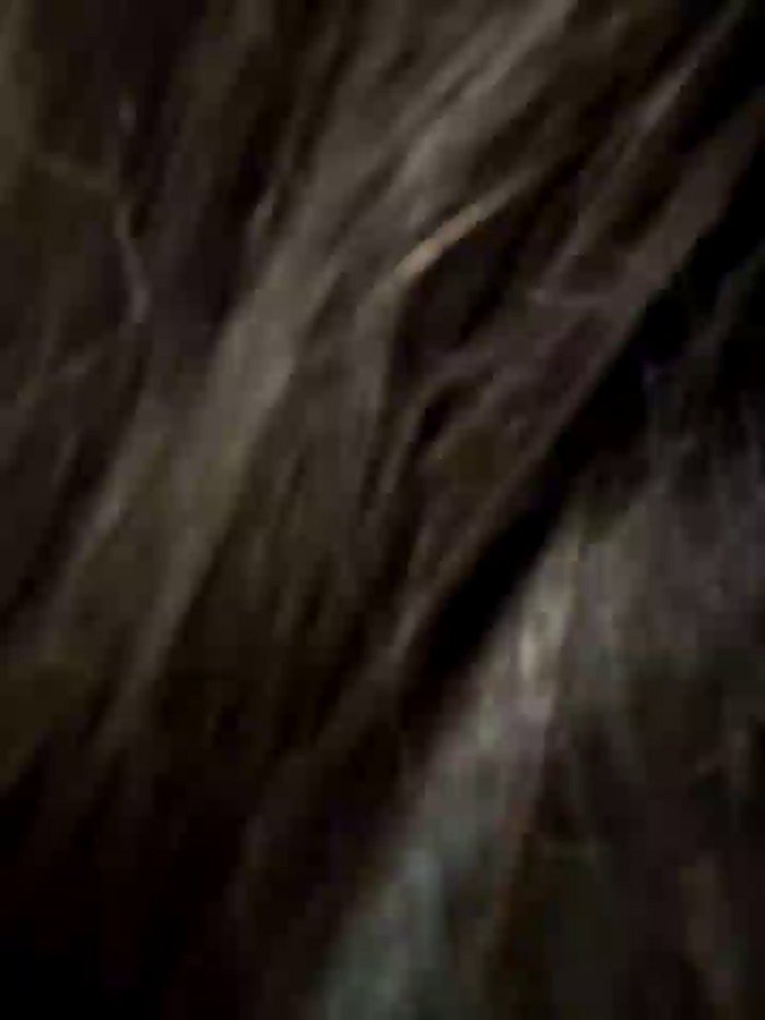 Bella_Gloria