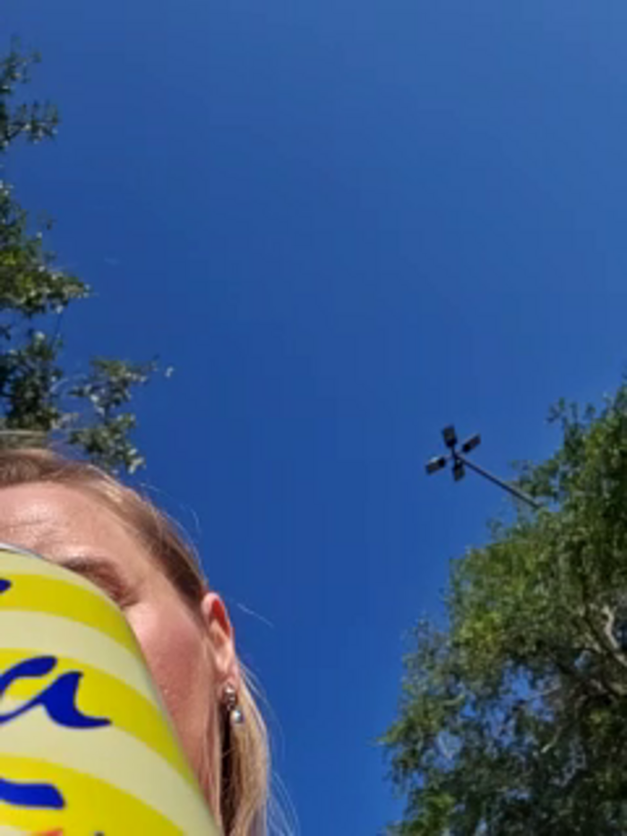 SkyelarSommer