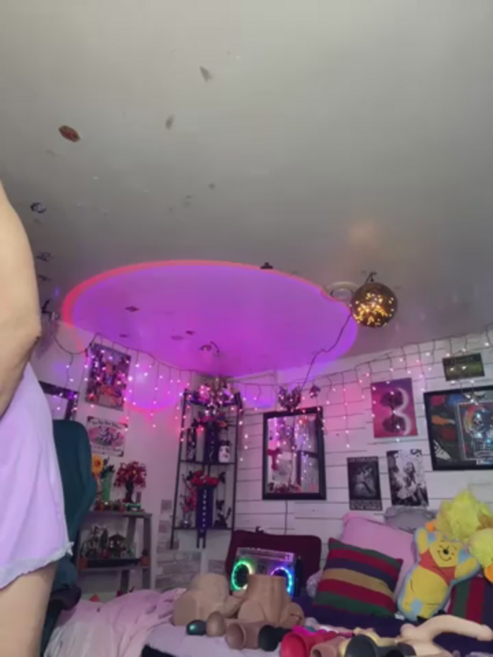 TrenaAnne