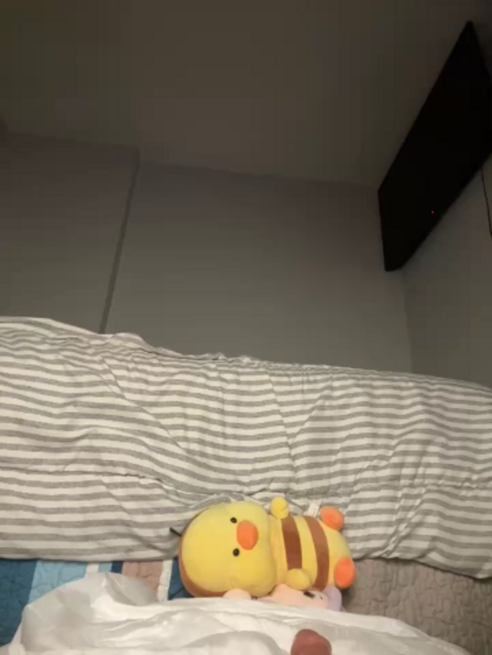 kittyfresita