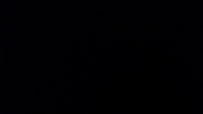 Ishani__