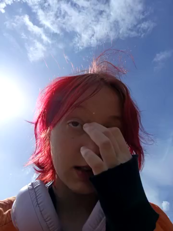 Noka_Foxy