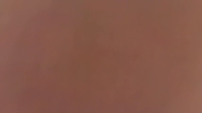 JP-NAO