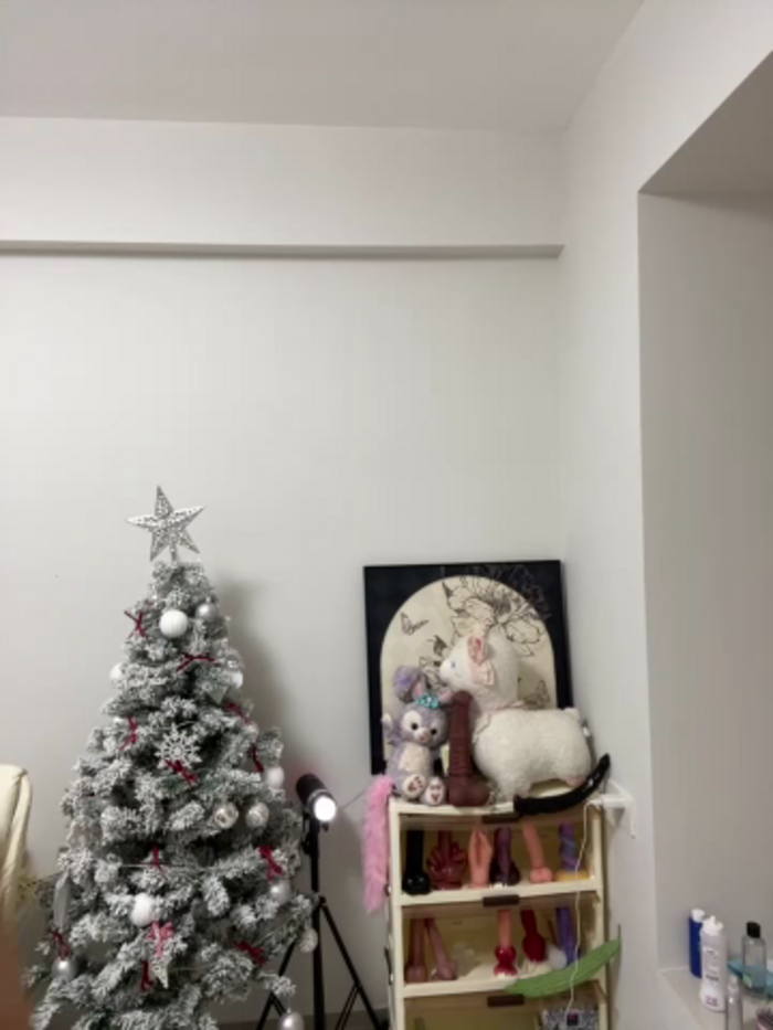 xyebobs