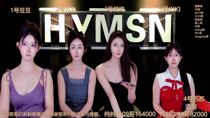 hymsv3333