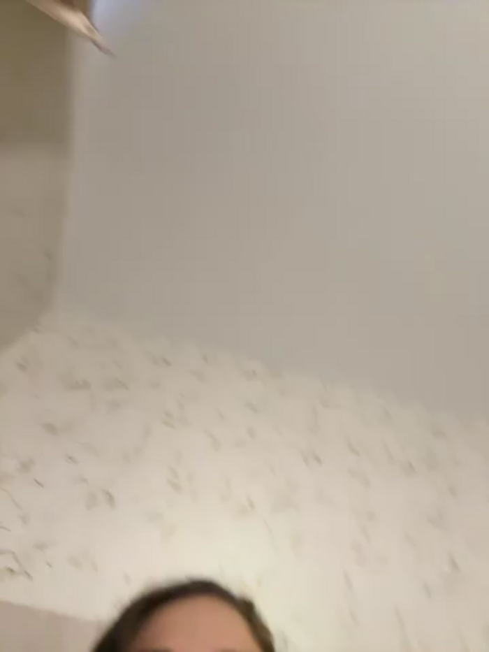 CuteeRose