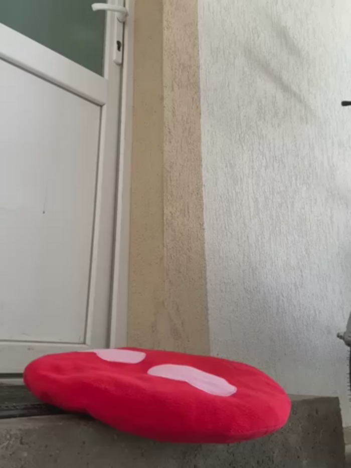 ladywithbigass