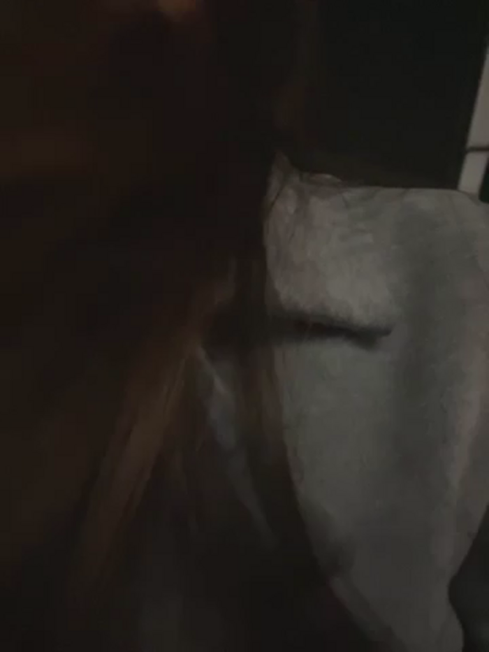 LAEDRI_LOYAL