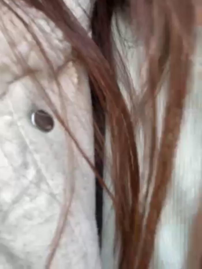 shuggybaby