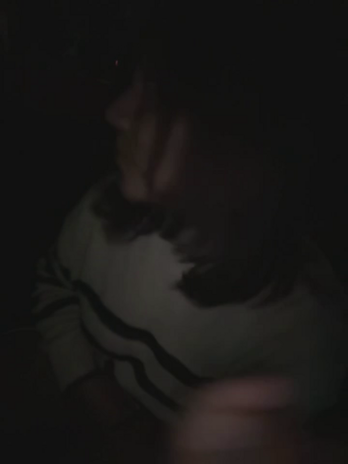 kittyfresita
