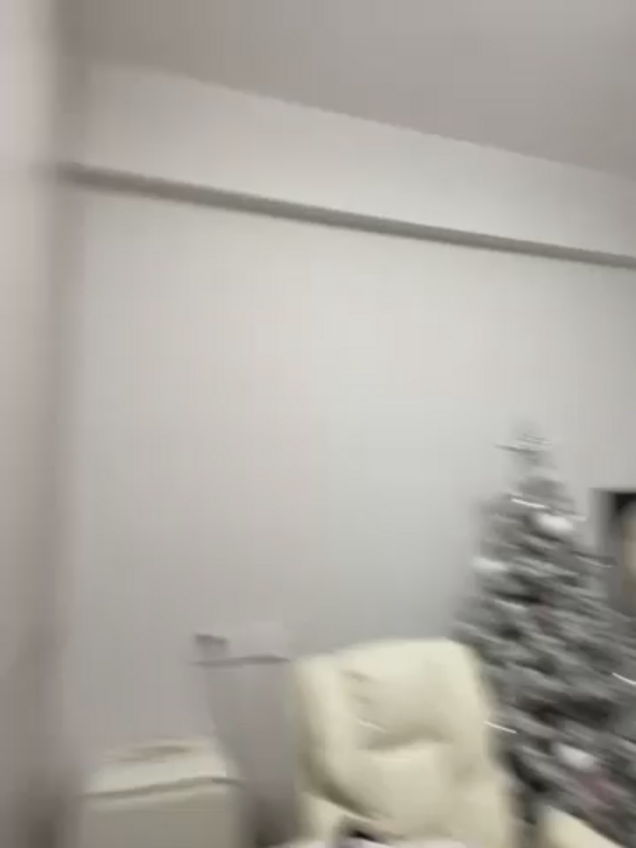 xyebobs