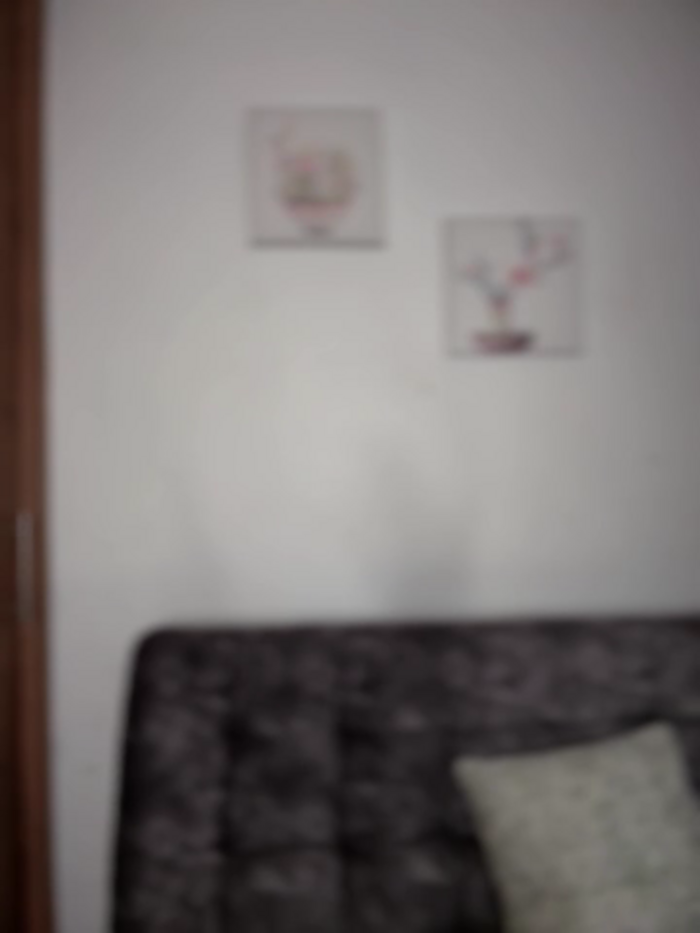 Megan_lu2
