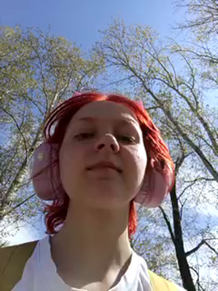 Noka_Foxy