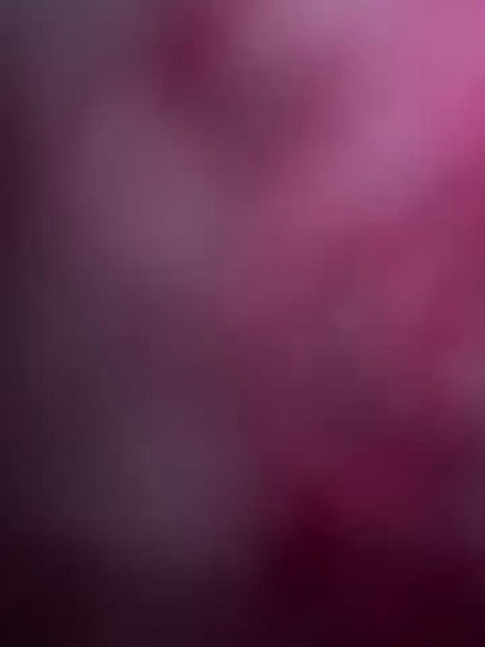 bambi_lu