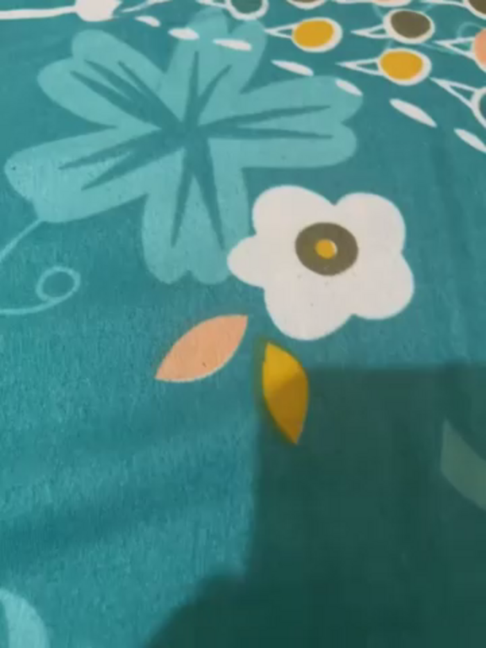 ahana_telugu