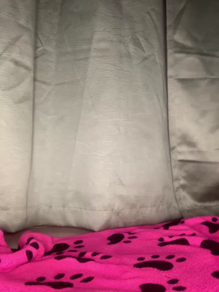 CurlyGirl_1