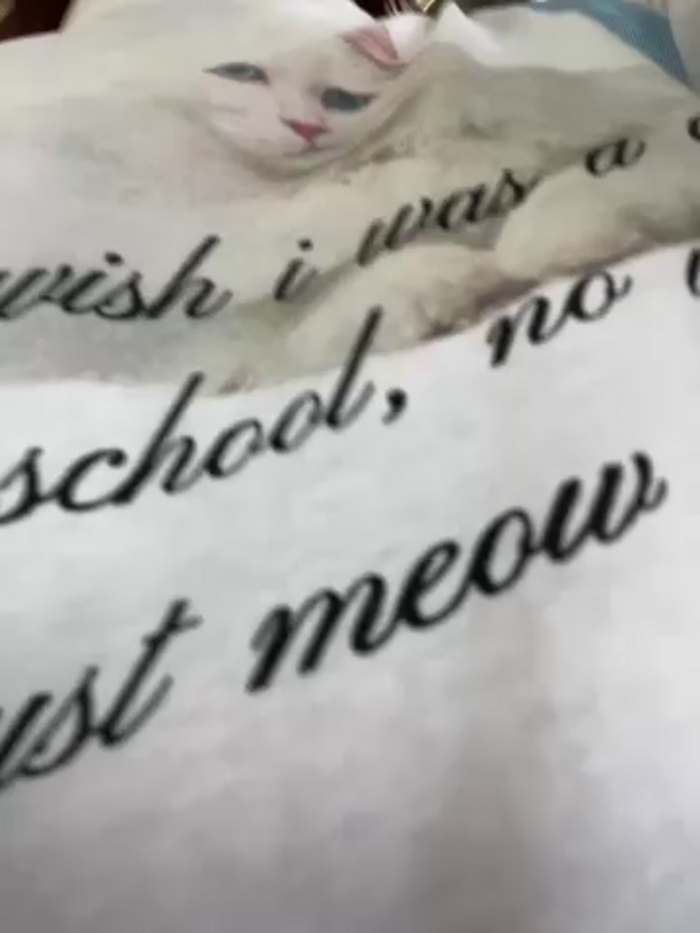 RinaCat