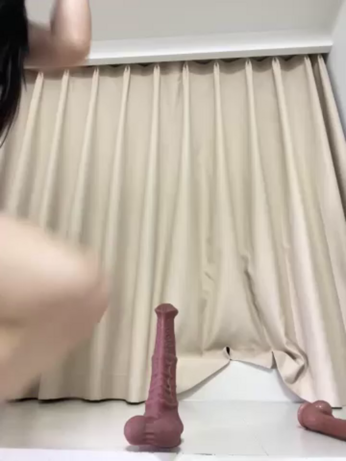 xyebobs