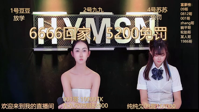 hymsv3333