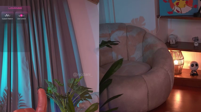 nicdani_1
