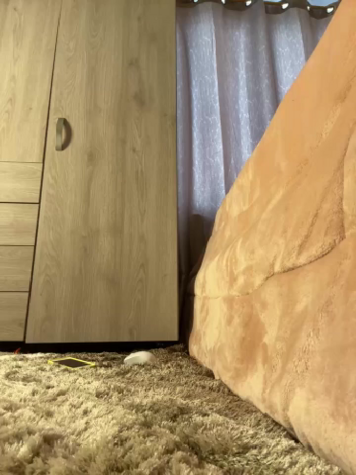 CuteeRose