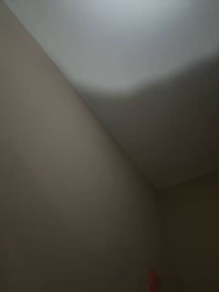 SexyBuncy