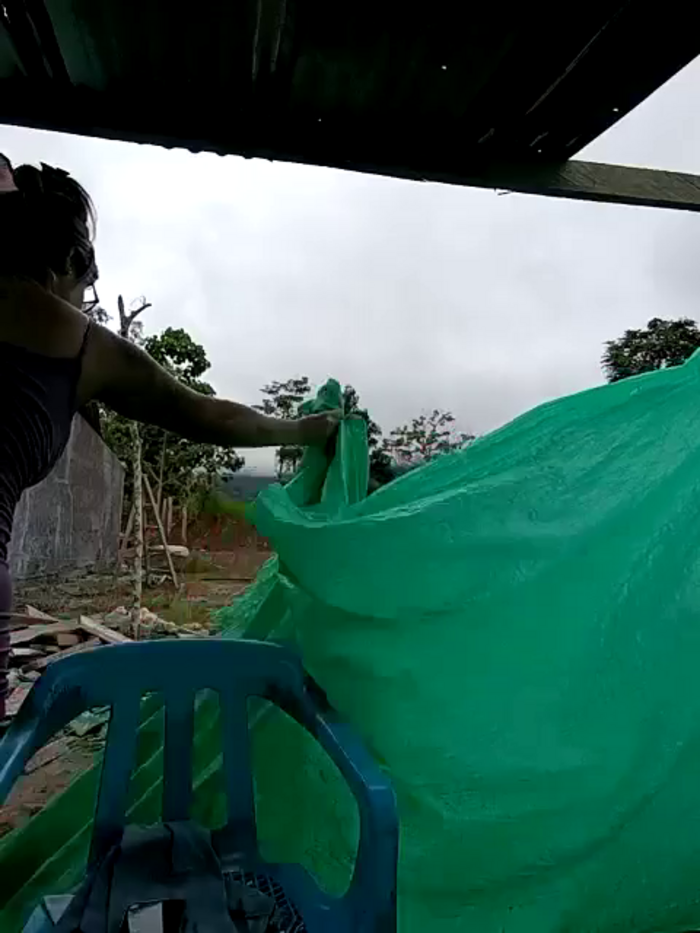 DIANITA_1988