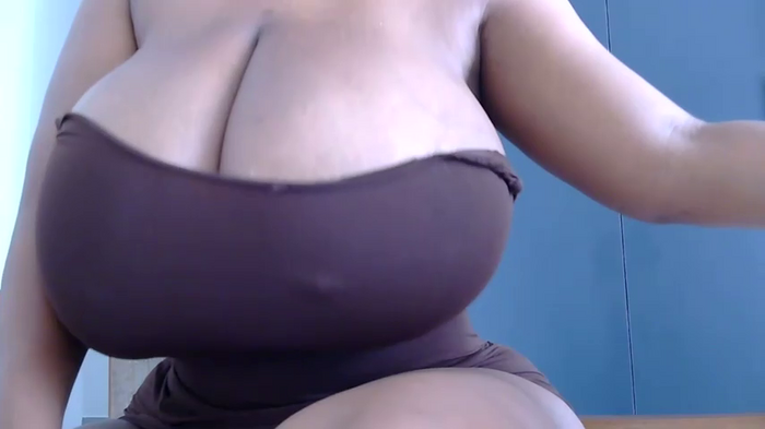 katt008