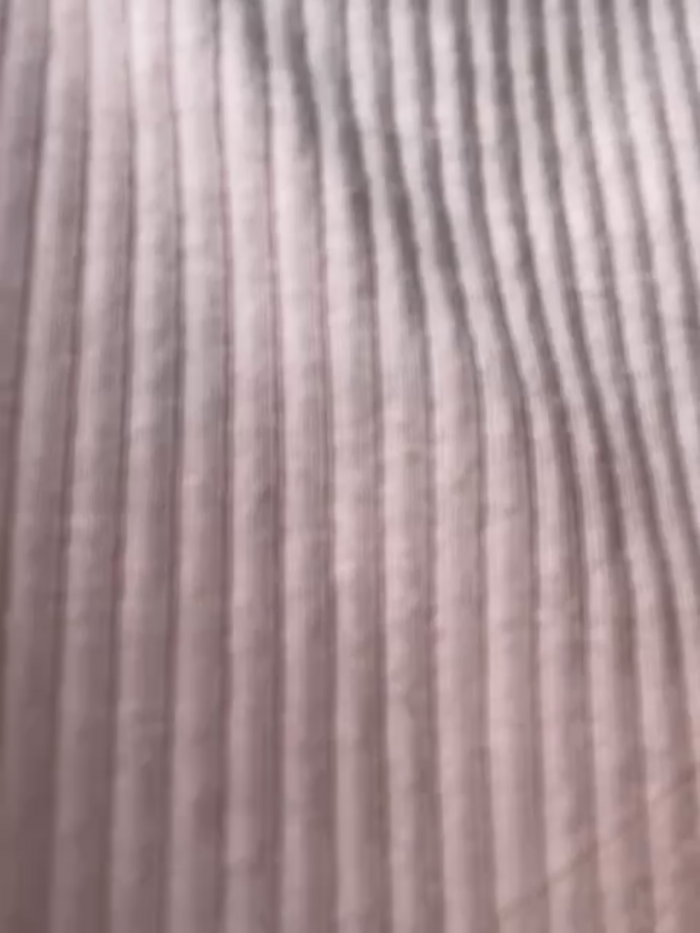 shuggybaby
