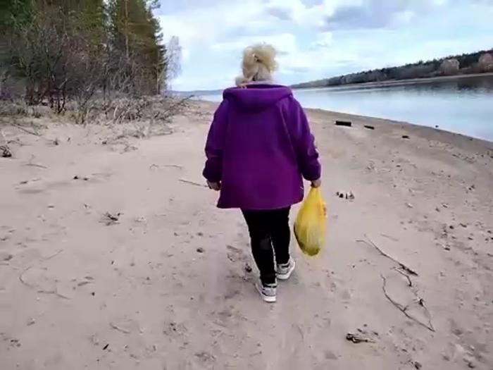 Siberia-Taiga