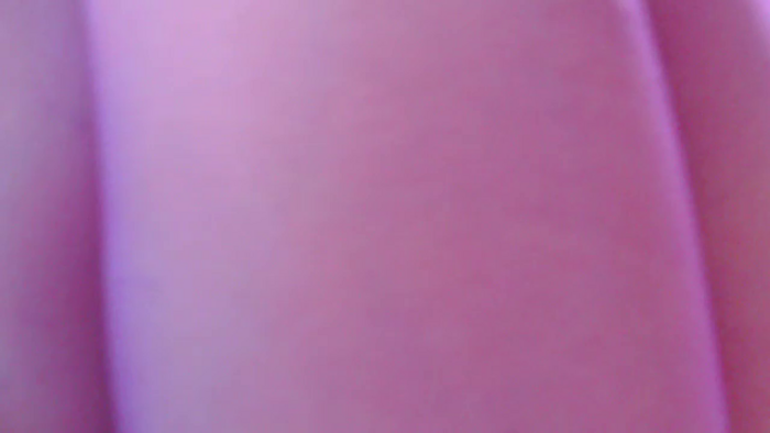 yooooo-chandesu