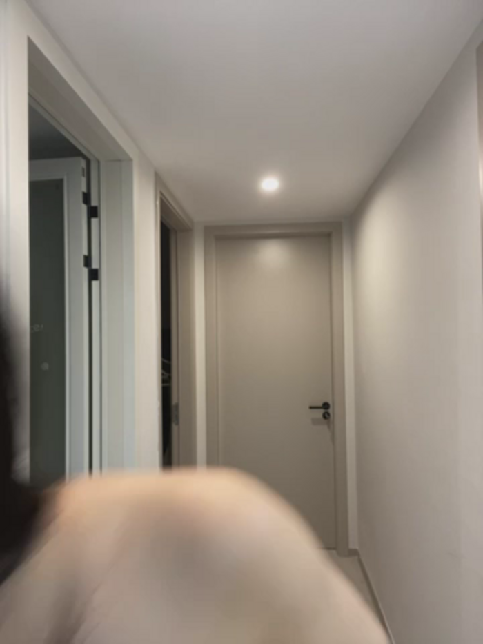 xyebobs