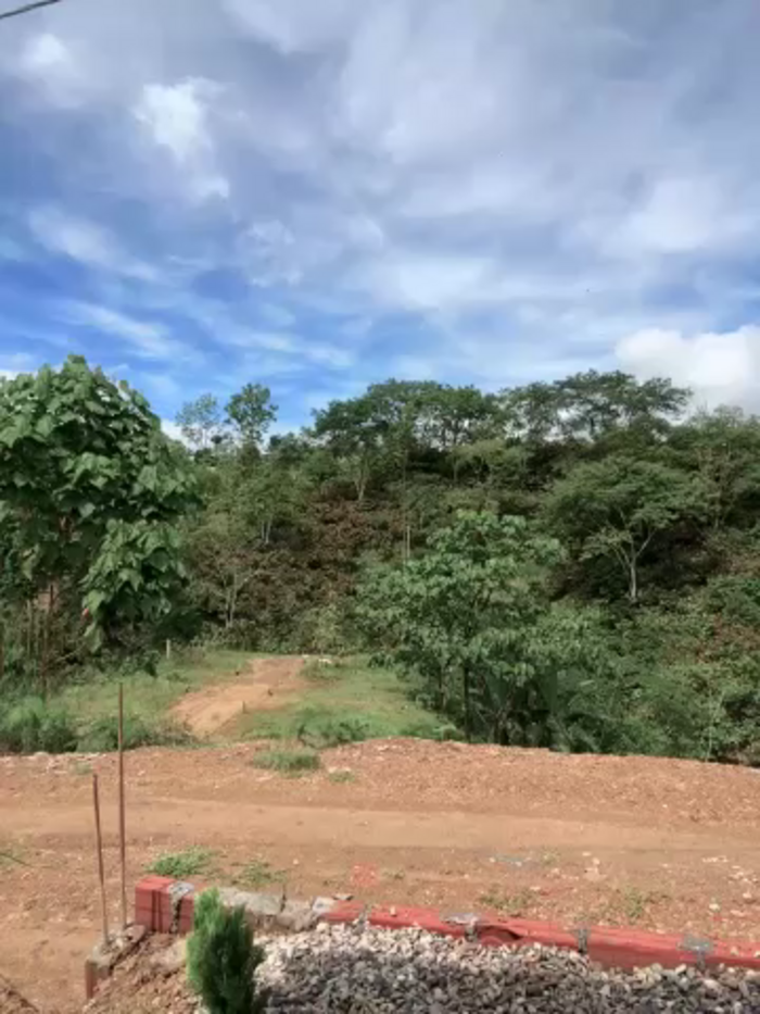 DIANITA_1988