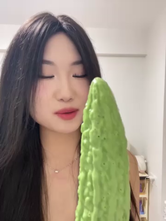 xyebobs