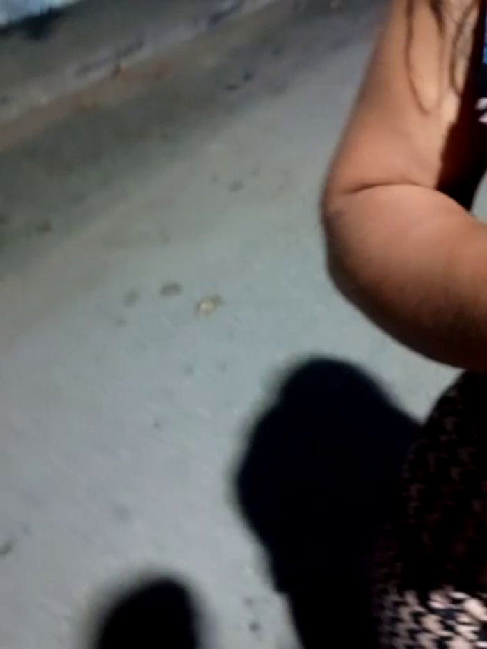 720BRENDA