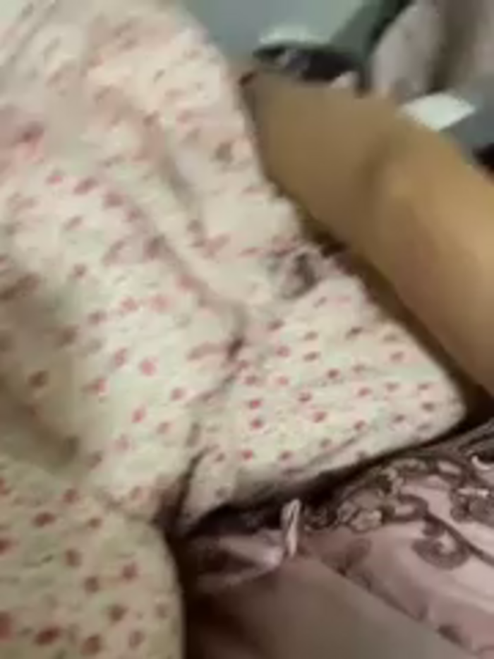 zqyaini