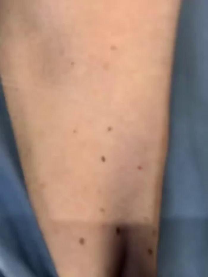 DahliaSegreta