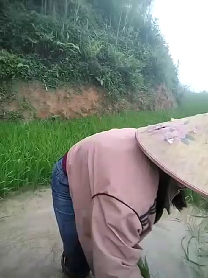 battagun