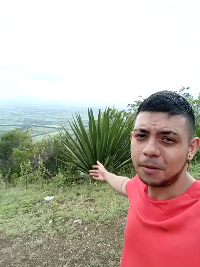 Nymphobuddies
