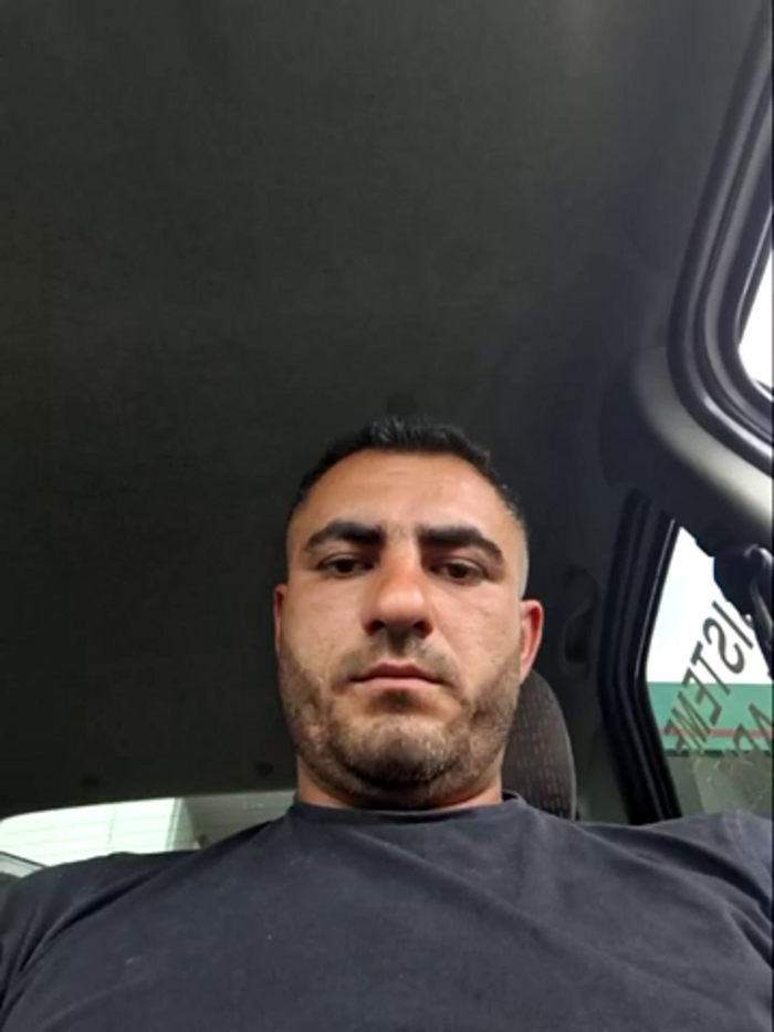 Wild_Stalion