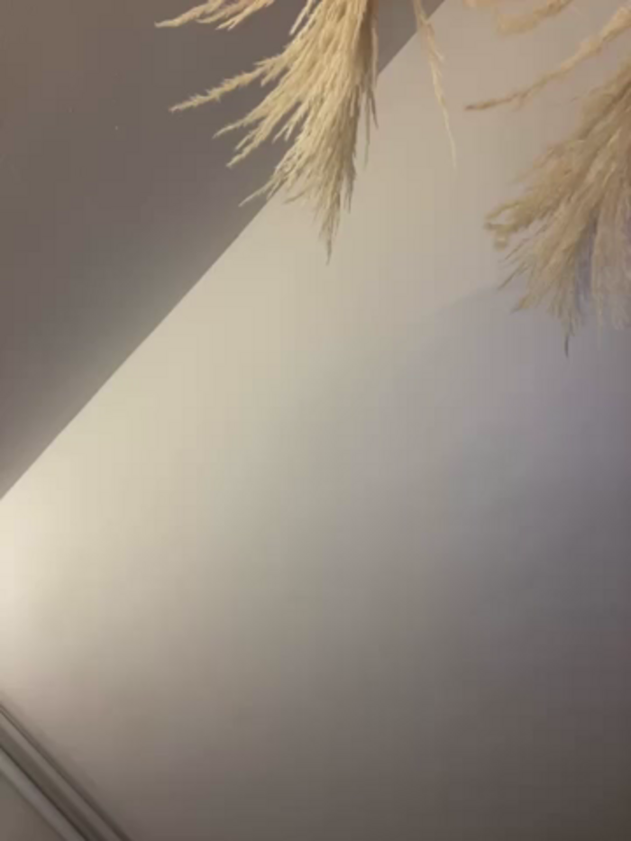 Nathcurly_