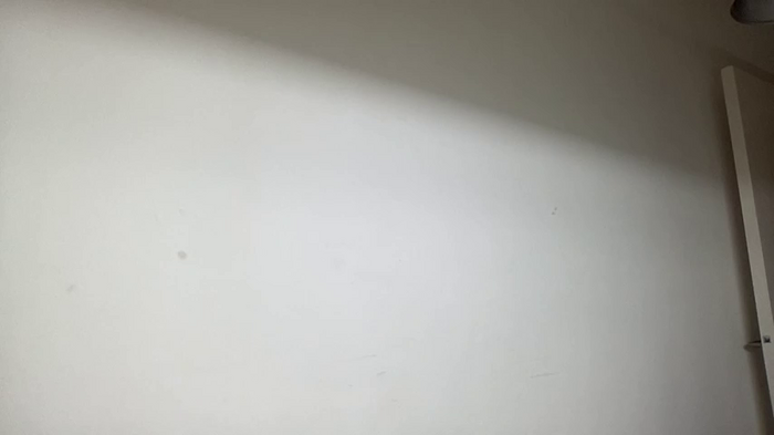 Lolykush