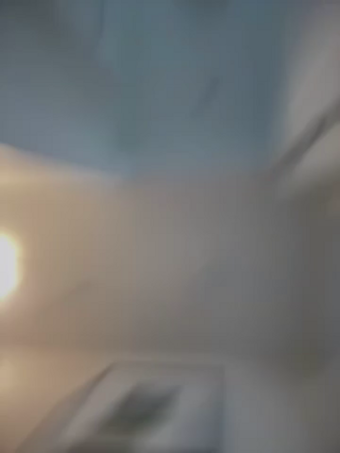 BadAssVeronica