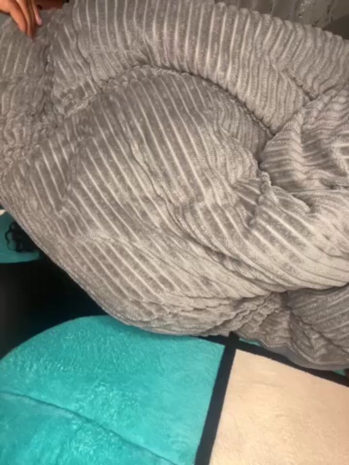 petit_sandra