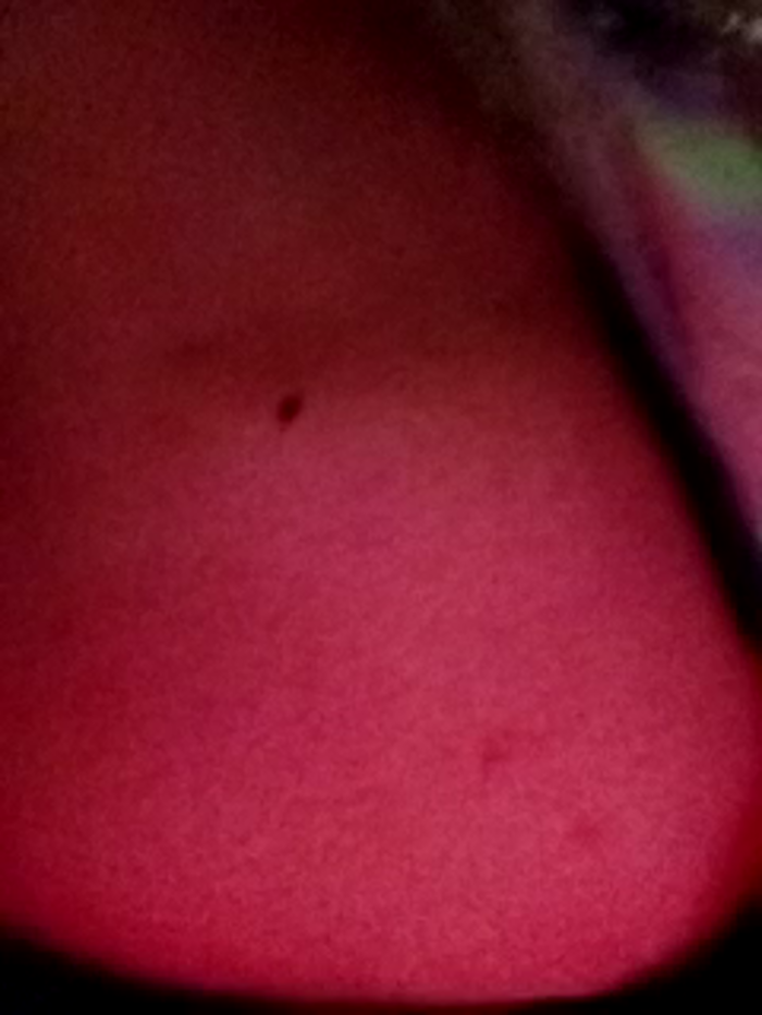Katalina_S3xy