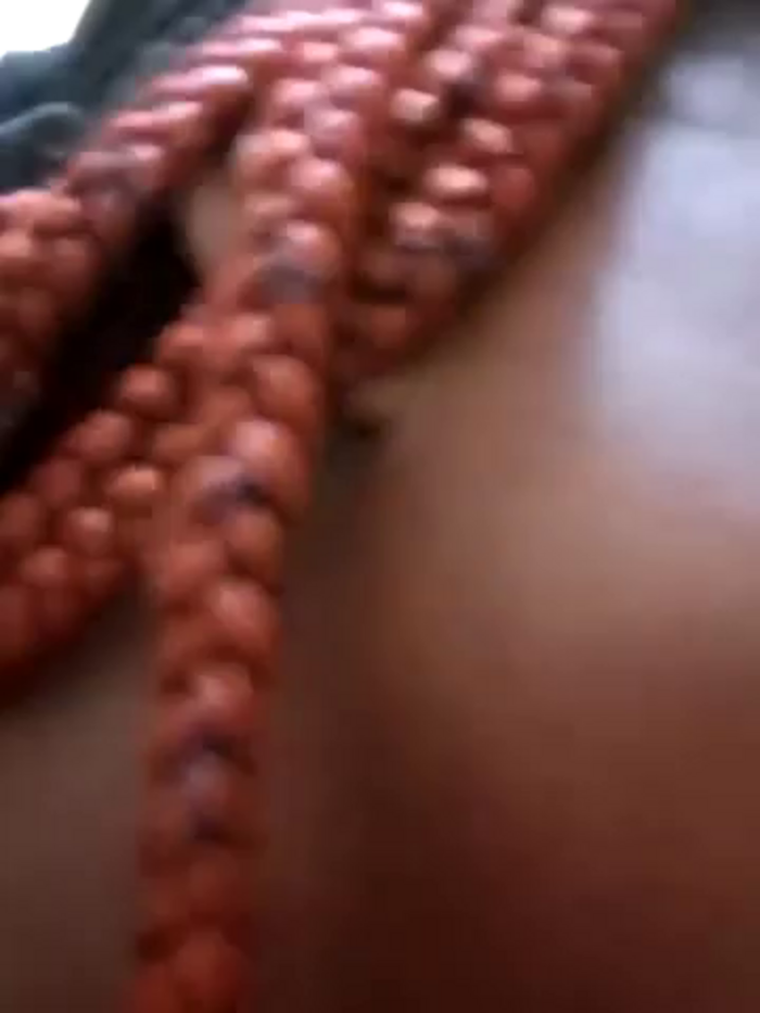 Swit_virgin22
