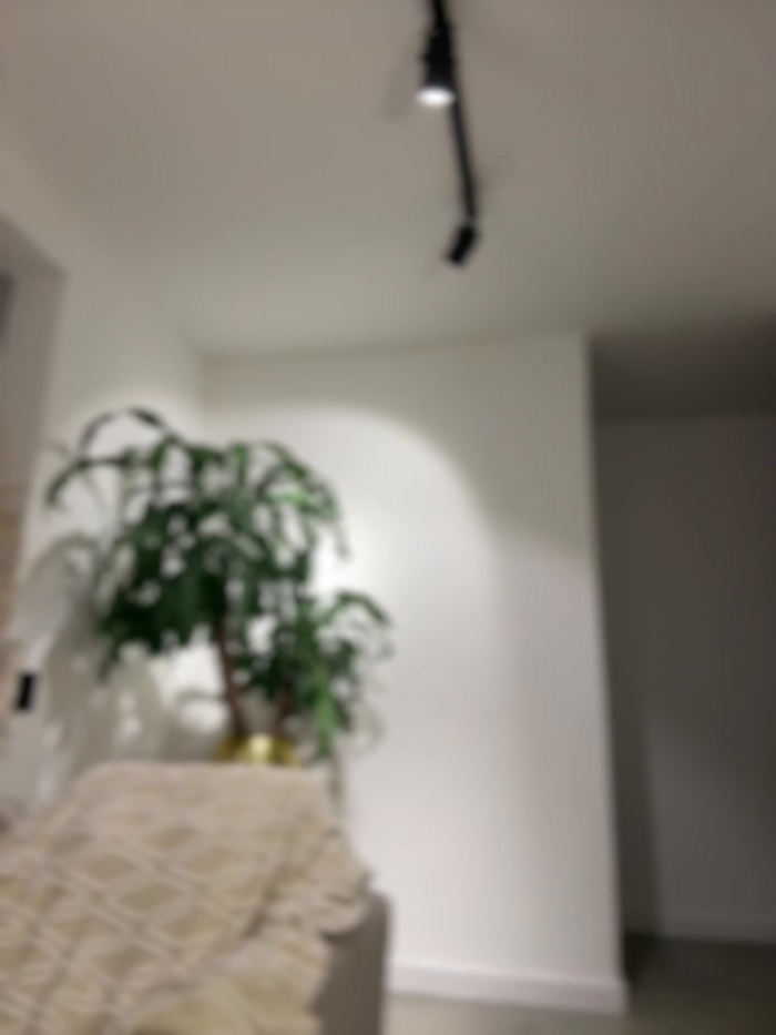EllaSanz_
